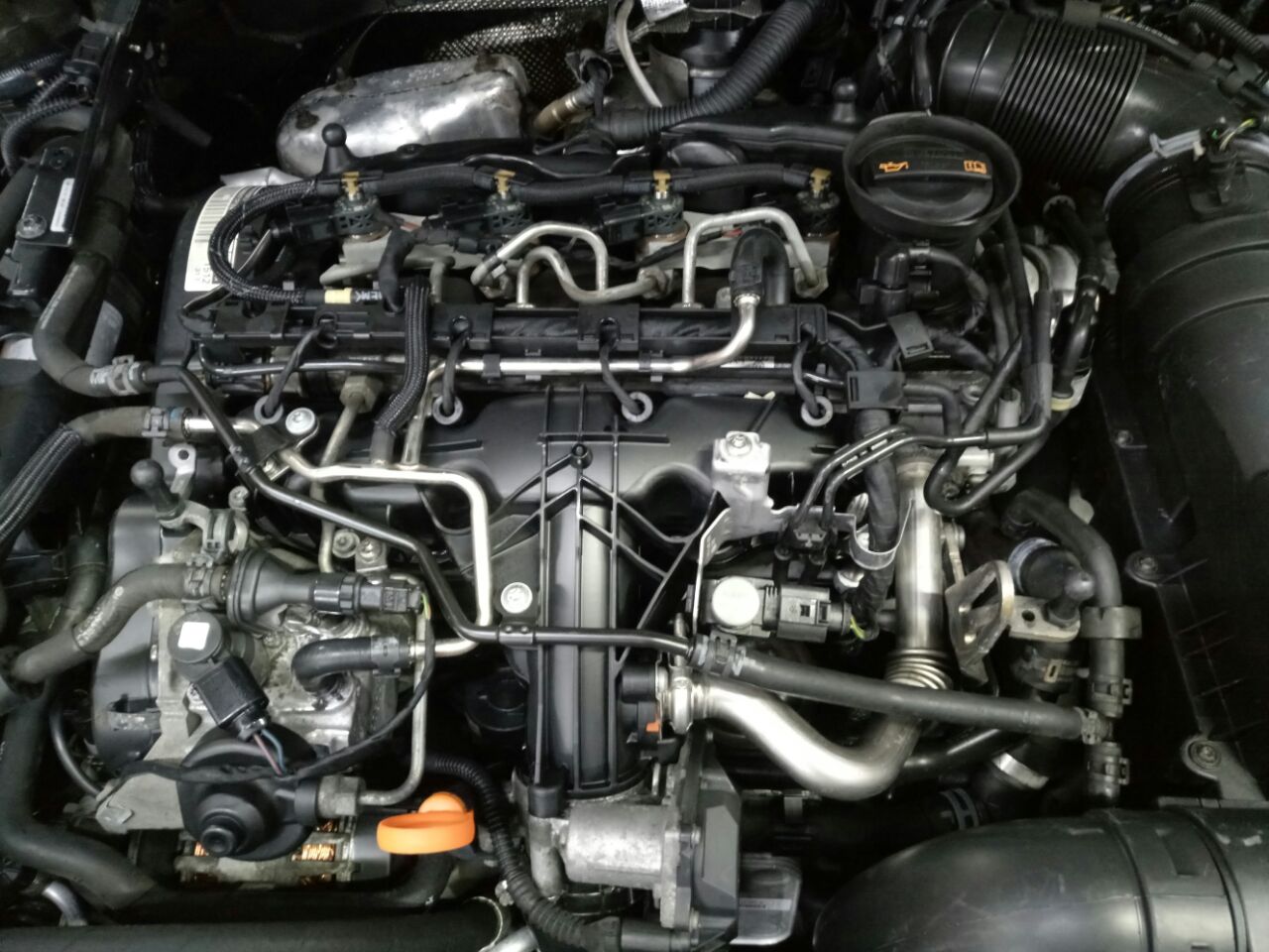 Фото от 22.04.2018 19:25:59