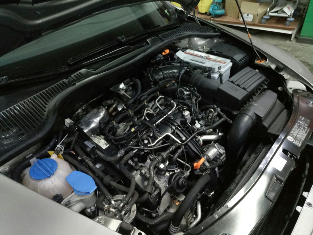 Фото от 22.04.2018 19:25:59