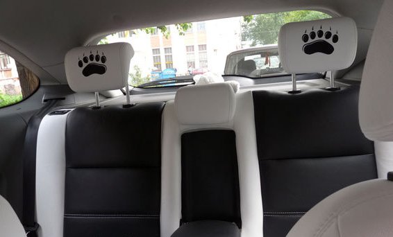 Ford Focus - работа 4